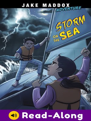 cover image of Storm on the Sea